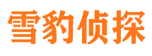 江东市侦探公司